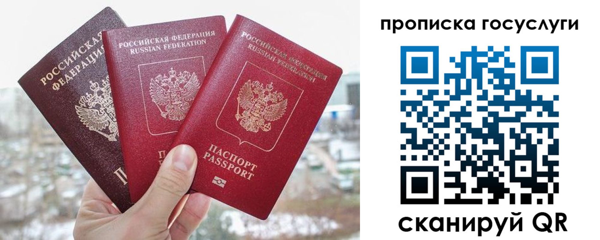прописка законно в Дальнегорске